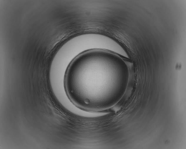 X0000090610595200707311224