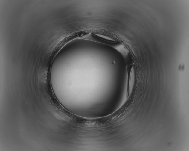 X0000090610596200707311224