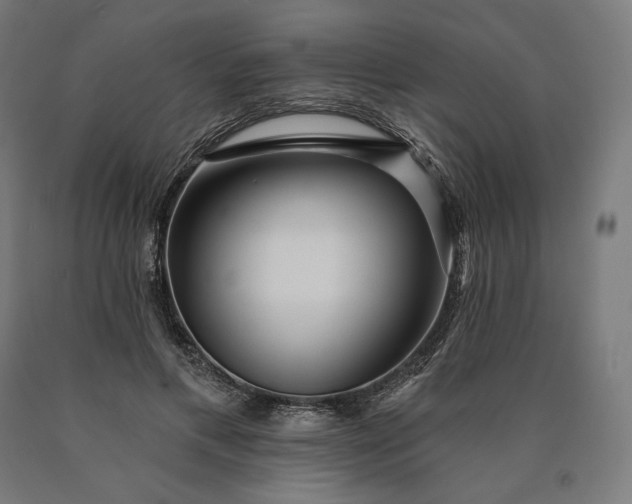 X0000090610597200707311224