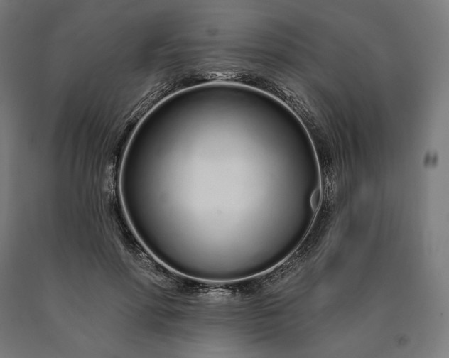 X0000090610598200707311224