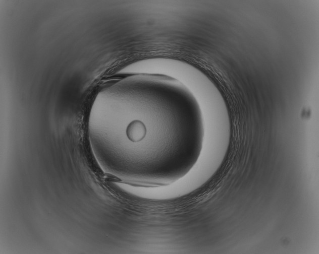 X0000090610599200707311224