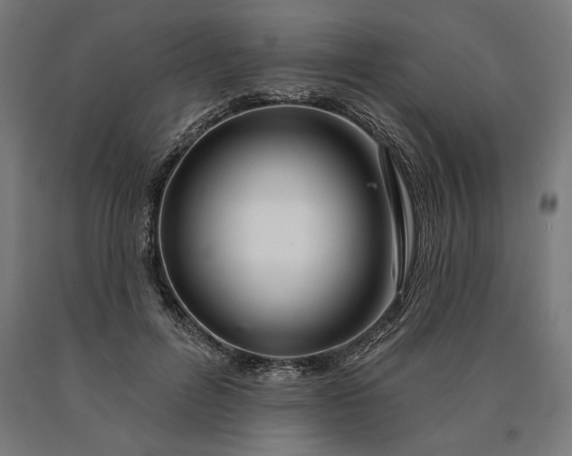 X0000090610600200707311224