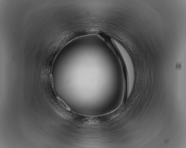 X0000090610601200707311224