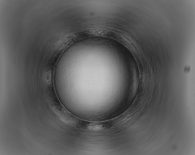 X0000090610602200707311224