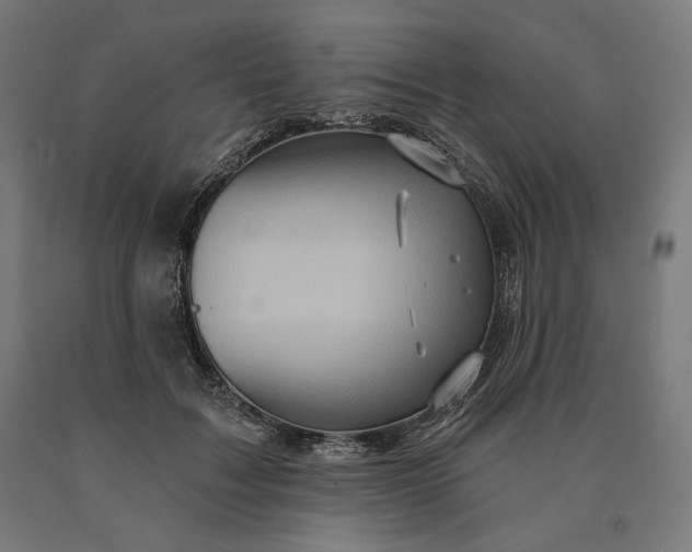 X0000090610603200707311224