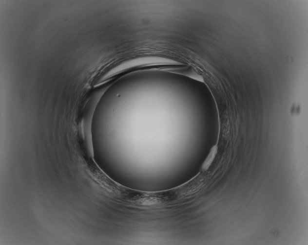 X0000090610604200707311224