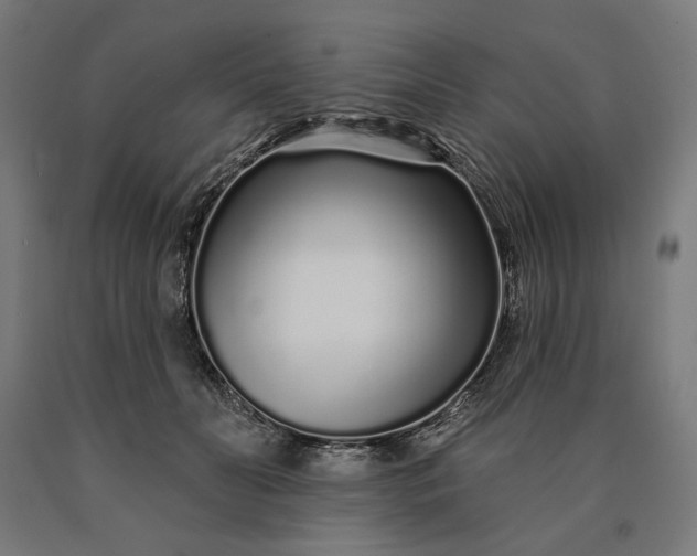 X0000090610606200707311224