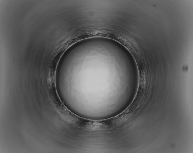 X0000090610607200707311224