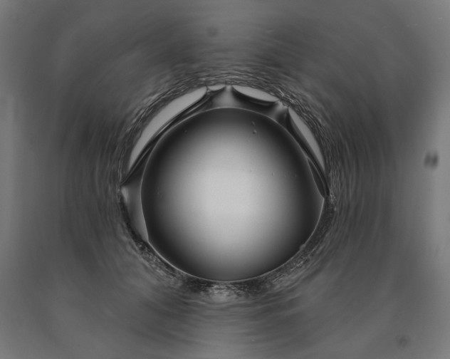 X0000090610608200707311224