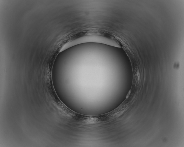 X0000090610609200707311224