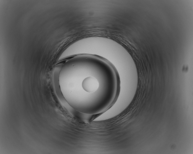 X0000090610611200707311224