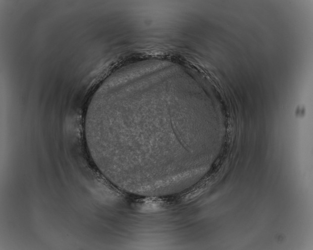 X0000090610612200707311224