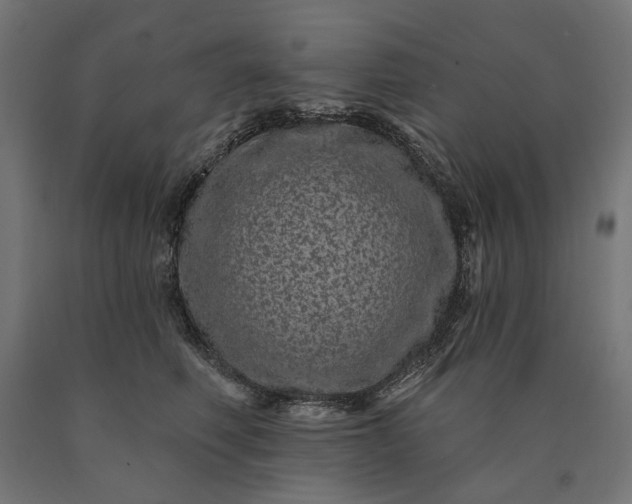 X0000090610614200707311224