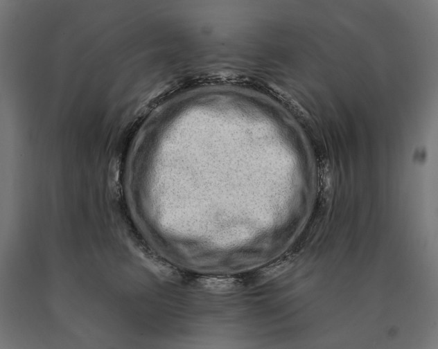 X0000090610615200707311224