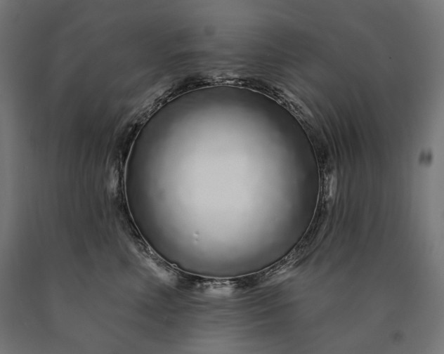 X0000090610618200707311223