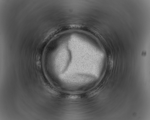 X0000090610619200707311223