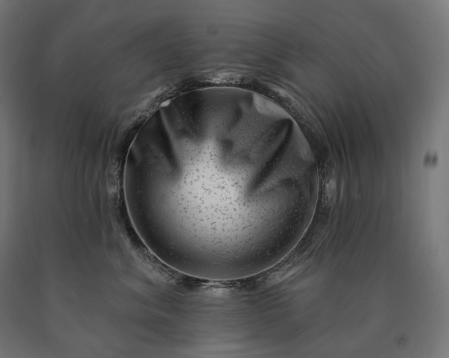 X0000090610620200707311223