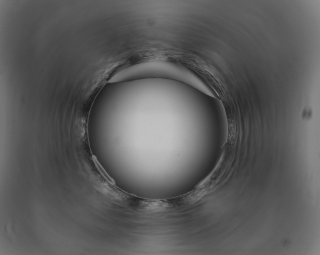 X0000090610621200707311223