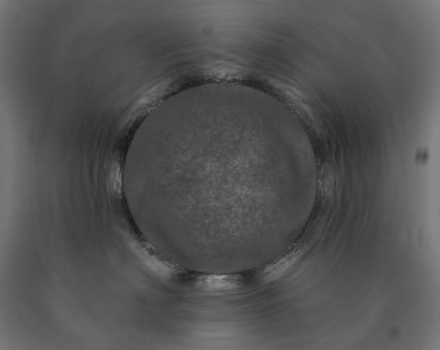 X0000090610622200707311223