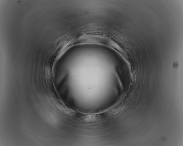 X0000090610623200707311223