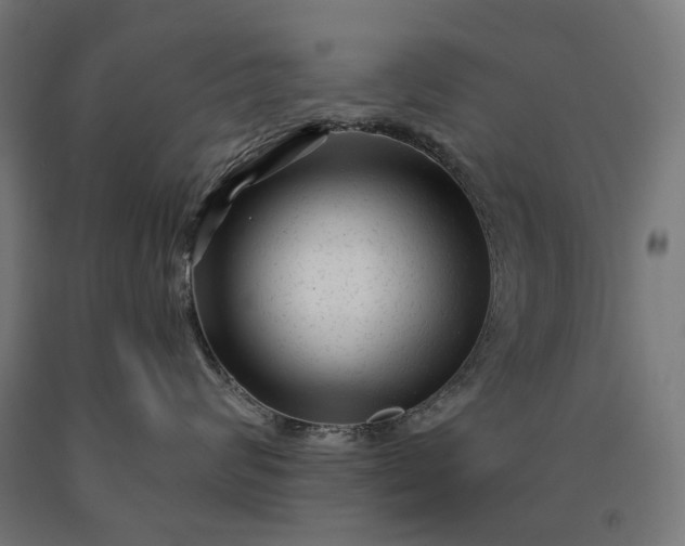 X0000090610624200707311223