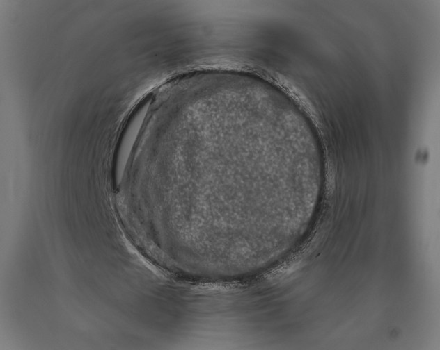 X0000090610625200707311223