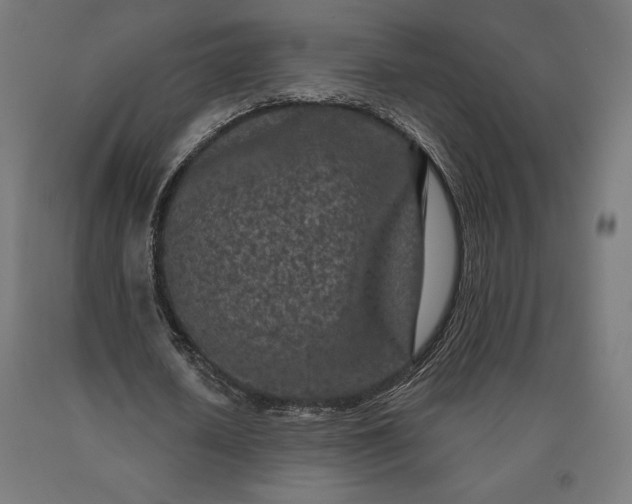 X0000090610626200707311223