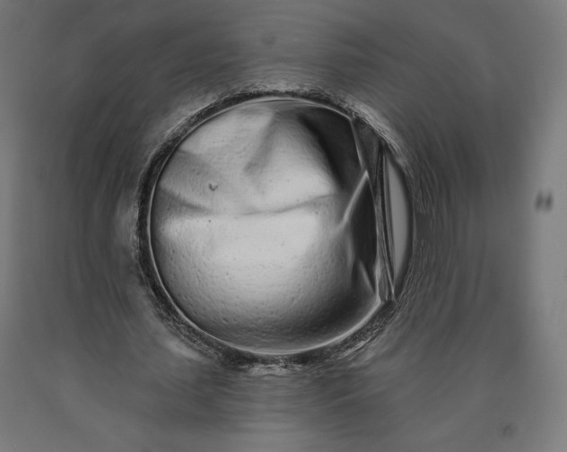 X0000090610627200707311223