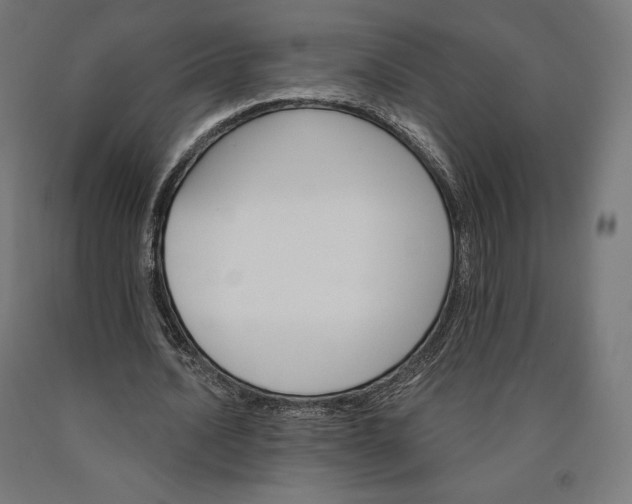 X0000090610628200707311223