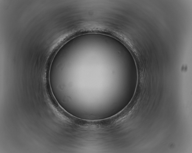 X0000090610629200707311223