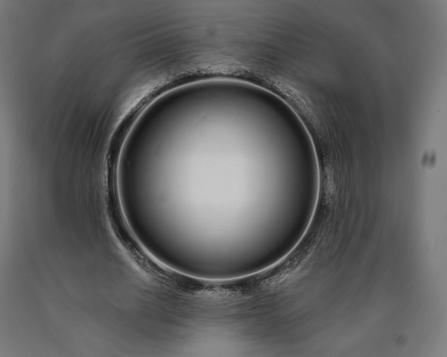 X0000090610630200707311223