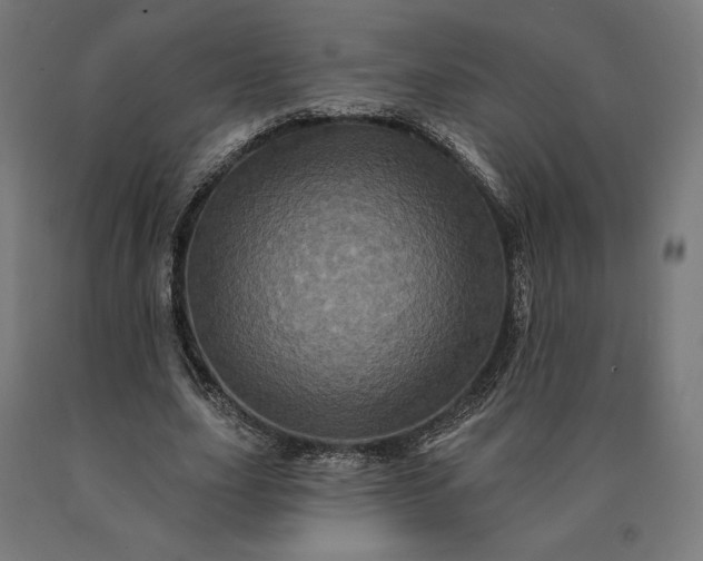 X0000090610631200707311223