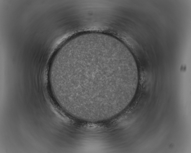 X0000090610632200707311223