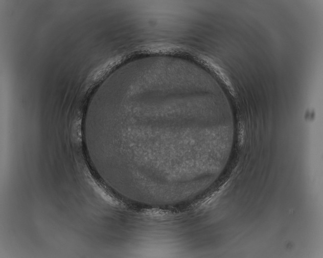 X0000090610633200707311223