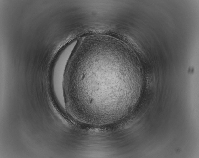 X0000090610634200707311223