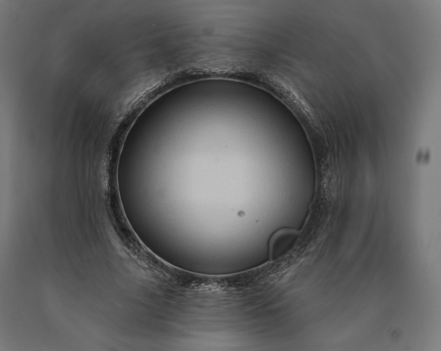 X0000090610635200707311223