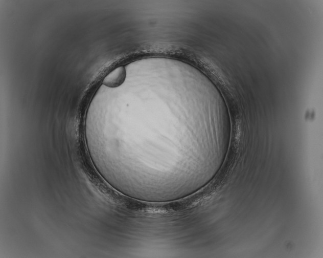 X0000090610636200707311223