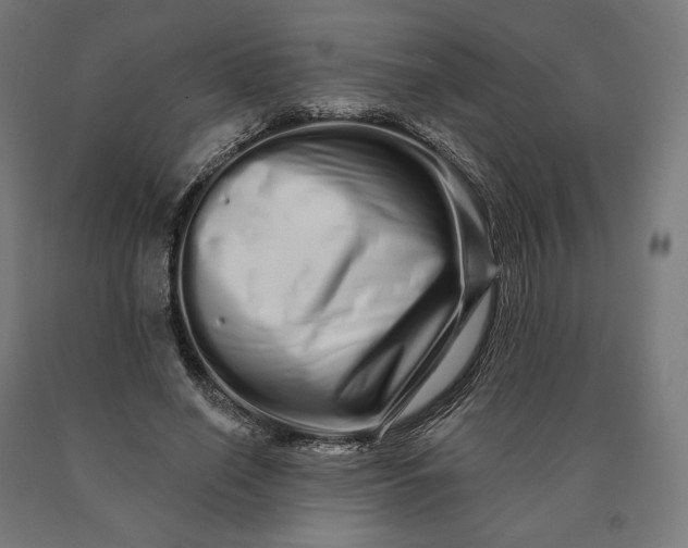 X0000090610638200707311223