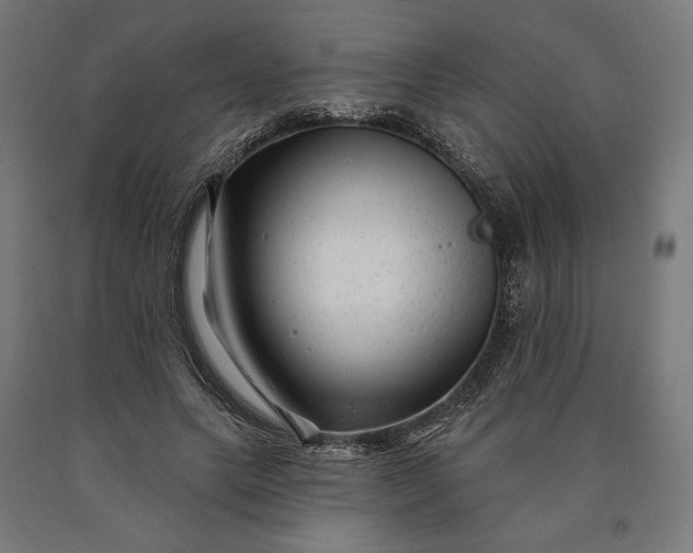 X0000090610639200707311223