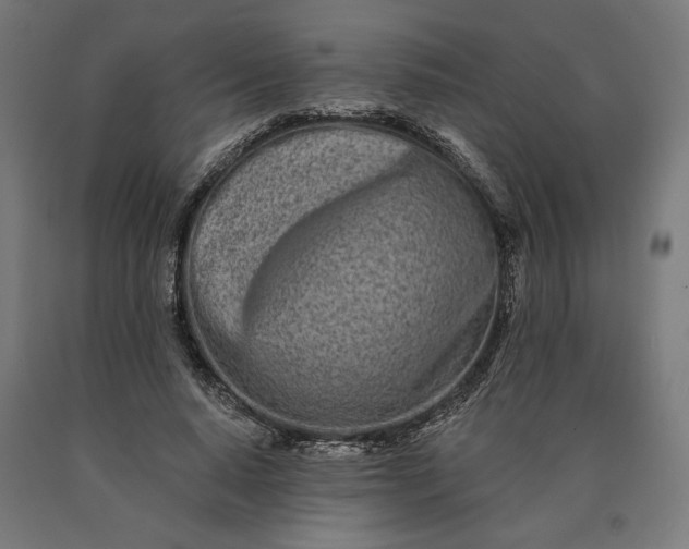 X0000090610640200707311223