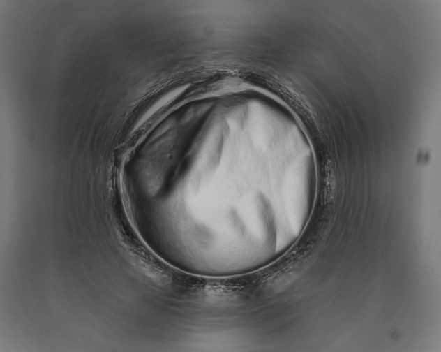 X0000090610641200707311223