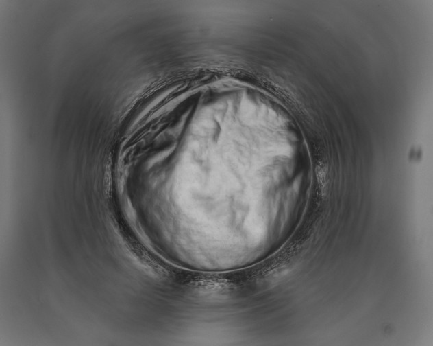 X0000090610642200707311223