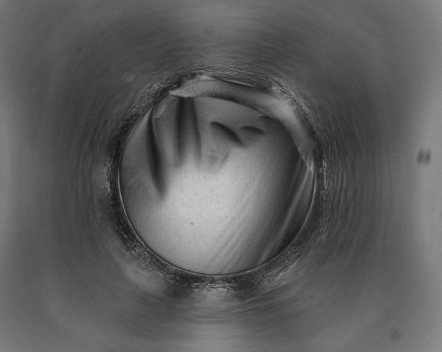 X0000090610643200707311223