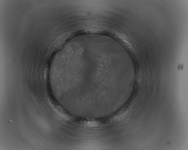 X0000090610645200707311223