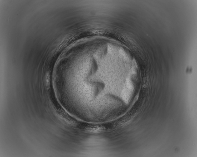 X0000090610646200707311223