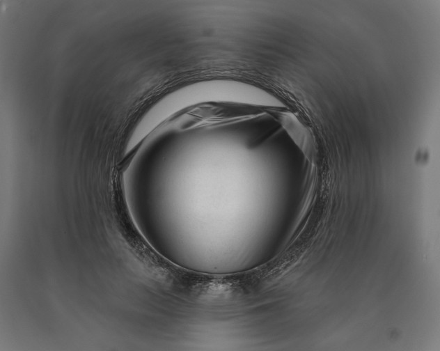 X0000090610647200707311223