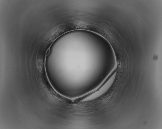 X0000090610648200707311223