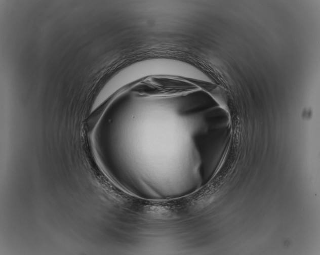 X0000090610649200707311223