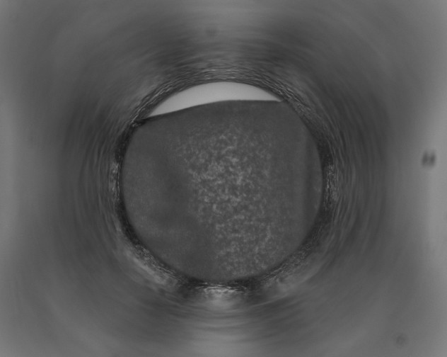 X0000090610650200707311223