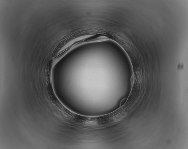 X0000090610653200707311223